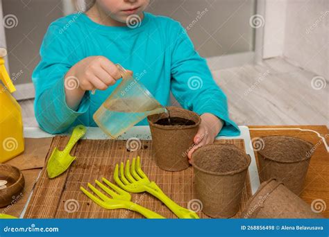 Little Girl is Watering the Newly Planted Seeds, on the Table are a ...