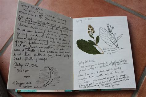 Remains of the Day: Nature Journaling: A New Journal and a New ...