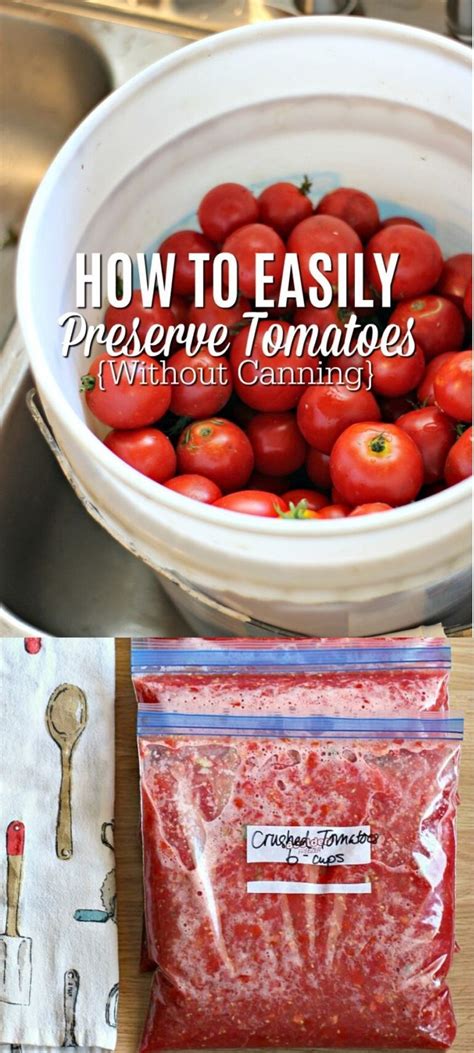 What’s the best way to preserve excess garden tomatoes without canning?