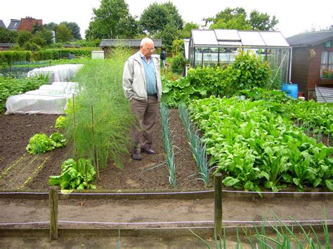 Organic vegetable gardens (Vegetable Garden Guide) – CONTAINER GARDENING