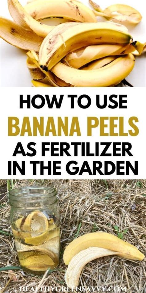 Banana Peel Fertilizer: Using Banana Peels in the Garden