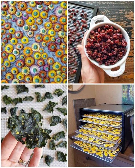 How to preserve garden produce for healthy, homemade country travel snacks?