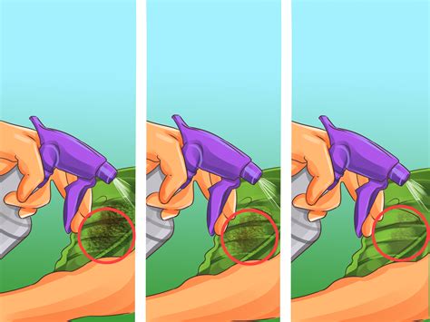 7 Ways to Make a Natural Insecticide - wikiHow