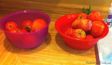 Tomatoes: From Frozen to Canned