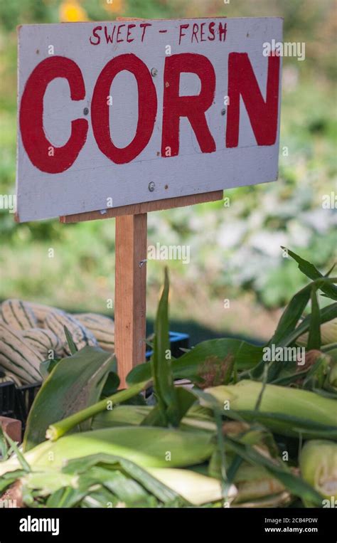 Roadside farm produce stand hi-res stock photography and images - Alamy