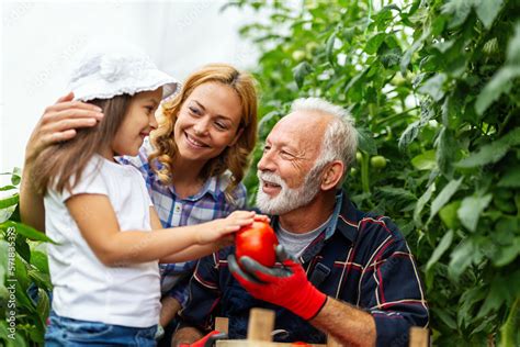 Family working together in greenhouse. Portrait of grandfather, child ...