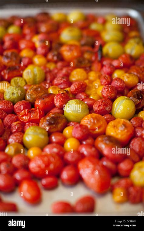 Tray of roasted tomatoes Stock Photo - Alamy