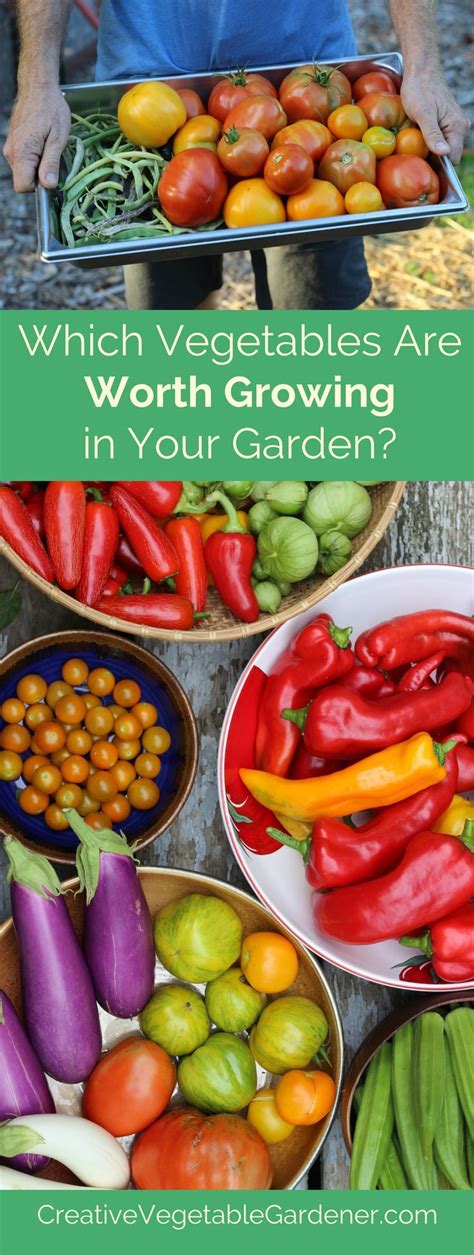 How to extend your garden harvest for year-round real food?
