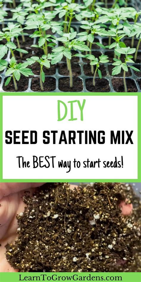 DIY Seed Starting Mix: The Best Soil Recipe For Seedlings - Learn To ...