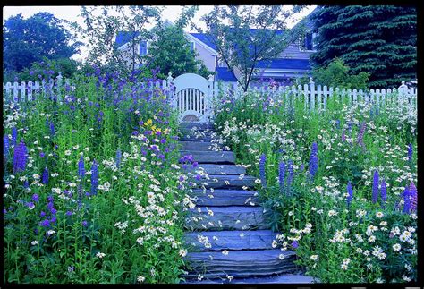 True Blue | Jardim encantado, Jardim