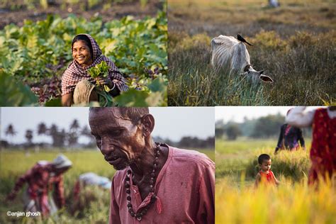 Rural photography :: Behance