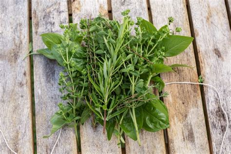 How to Make and Dry Herb Bundles and Herbal Bouquets - Toad and Sage Garden