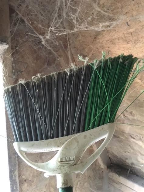 6 Step Plan for a Clean Chicken Coop - Timber Creek Farm