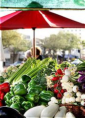 Guide to Buying and Storing Fresh Vegetables - Grocery Coupon Guide