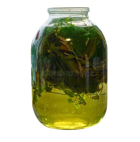 Medicinal Infusion of Freshly Picked Leaves and Herbs in Glass Jar ...