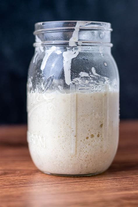 Top 10 Sourdough Starter Tips for Success (2025) – Sourdough Brandon