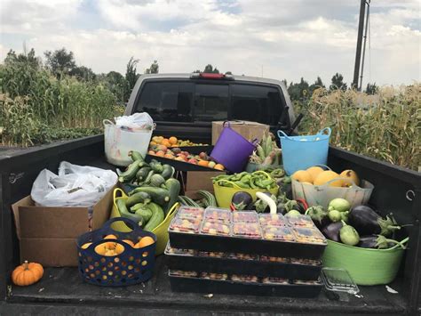 Dealing with Nature's Bounty - Your Guide to Garden Harvest! - The ...