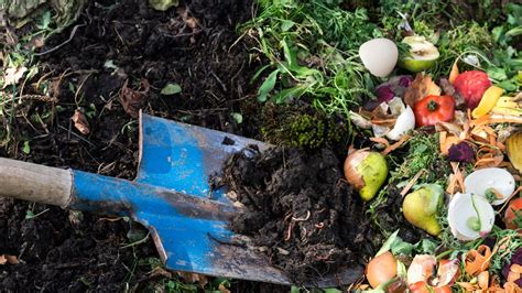What is compost and how can you make it at home | whas11.com