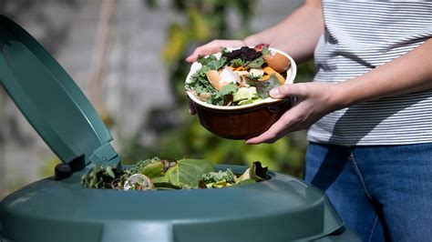 What is composting? Turn food scraps into gardening gold