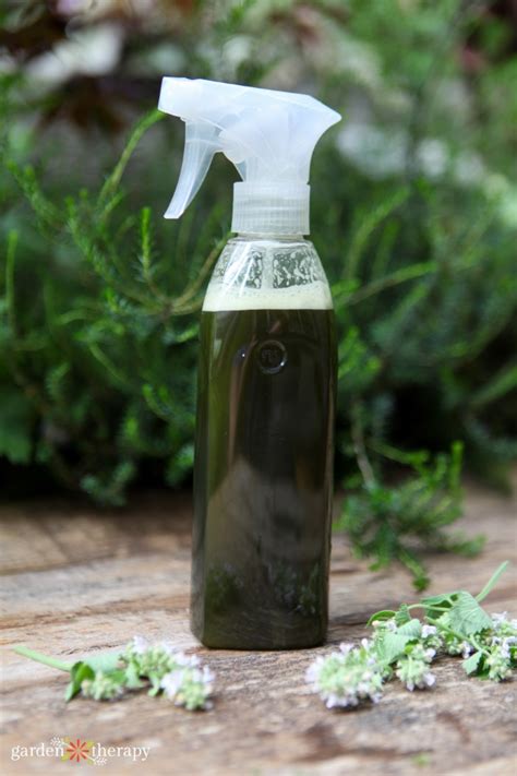Make Your Own Natural Pest Control Spray with Herbs - Garden Therapy