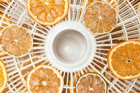 10 Tricks And Tips On Dehydrating Fruits And Herbs To Enjoy All Year