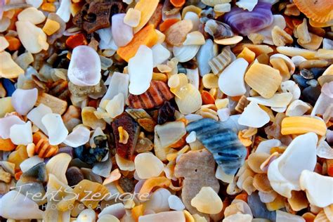 Images of VARIETY - JapaneseClass.jp