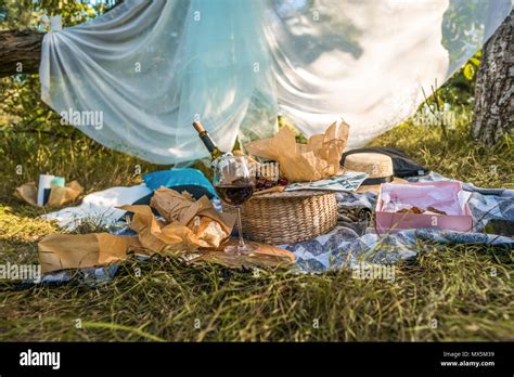 Picnic Lunch Meal Outdoors Park Food Concept Stock Photo - Alamy