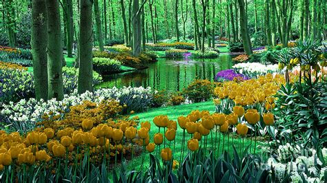 Flower Garden of Love Mixed Media by Marvin Blaine - Fine Art America