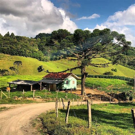 Imagem De Paisagem Rural - LIBRAIN