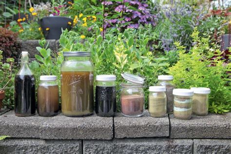 Homemade Pest Control | HGTV