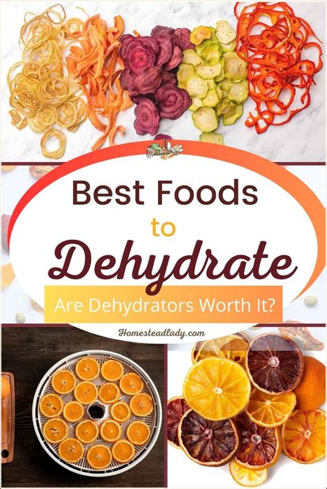 Dehydration Of Food