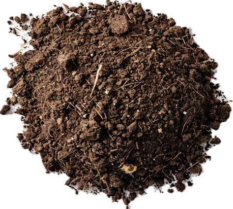 AI generated Rich Garden Soil with Organic Matter png 41177230 PNG