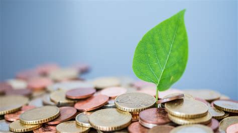 Majorities in US back climate change proposals: Gallup