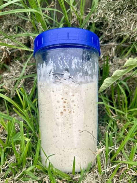 What’s the secret to making sourdough starter reliably active for country bread?