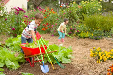 Family Gardens and Kids Gardening Ideas | Topics | HGTV