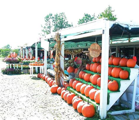 Roadside Produce Stand | Farm stand, Produce stand, Pumpkin stands