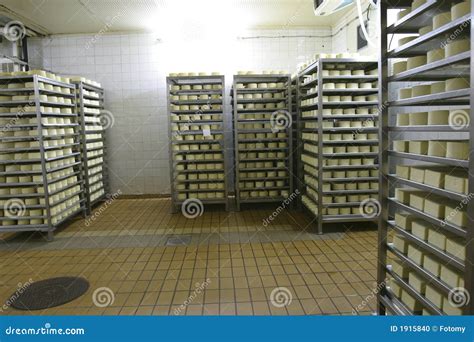 Cheese storage in dairy stock photo. Image of packing - 1915840