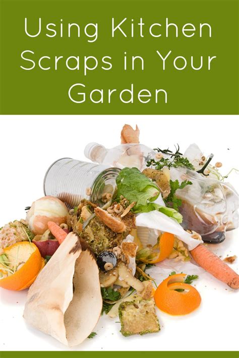 Using Kitchen Scraps in Your Garden - BargainBriana