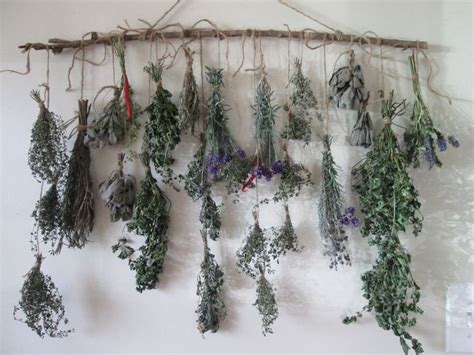 Dried Culinary Herbs Herb and Flower Bundles Custom Choice - Etsy ...