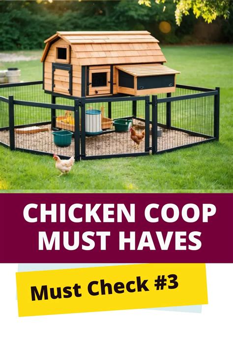 21+ Chicken Coop Must Haves: Essential Features for a Healthy Flock