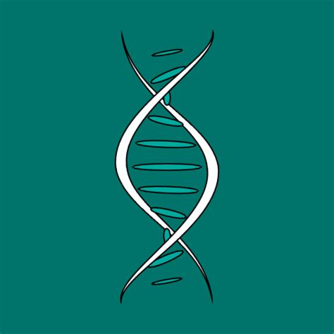 Best make-ahead real food dishes for a stress-free country holiday feast?