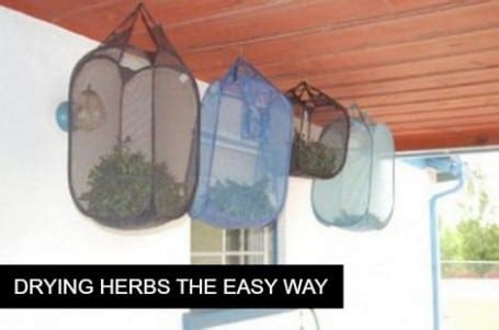 How To: Drying Herbs The Easy Way