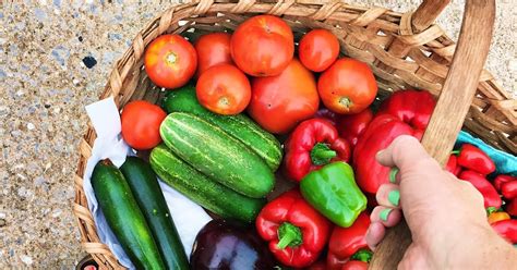 What are your best tips for preserving excess garden bounty in recipes?