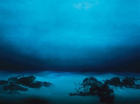 Beautiful Underwater Sea