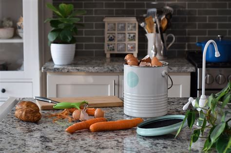 Food Scraps to Compost Guide Available for Download – Fishers Island ...