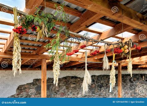 Fresh Dried Herb Bundles of Different Herbs Hanging in Front of Stock ...
