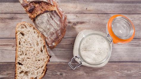 5 Clear Signs of a Bad Sourdough Starter