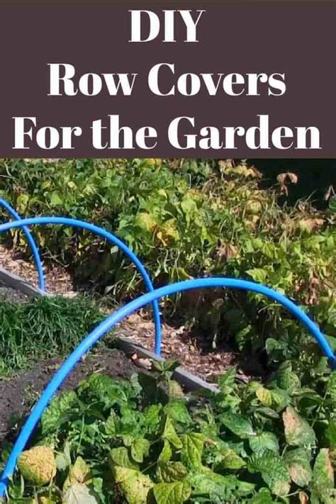 Cheap and Easy DIY Row Covers to Protect Your Garden - Gardening Channel