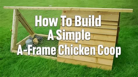 How To Build A Simple A-Frame Chicken Coop: Step-by-Step Guide ...