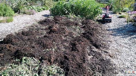 Using Compost in the Vegetable Patch - by Duncan Cocking
